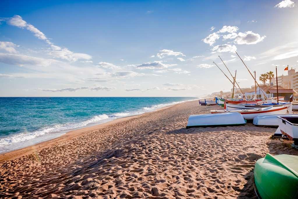 Htop Pineda Palace 4Sup - Adults Recommended #Htopbliss Pineda de Mar Natur foto